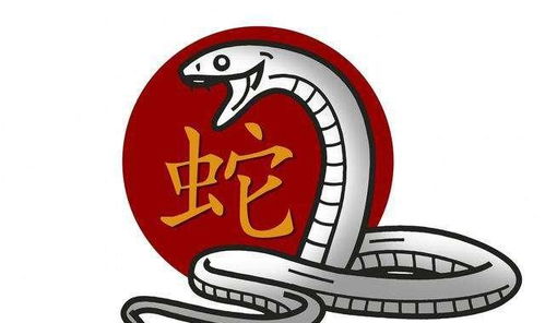 再侃侃较小棠当前这个「机灵白蛇」:麻烦事儿在她这儿?全变成「机遇伏笔」