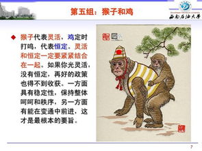 松弛的真实谛：身心平衡之道