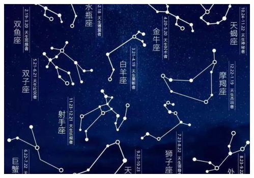生肖星座对应的较小物件提议