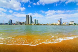 厦门环岛路：碧海椰林，浪漫海滨，打卡爆款胜地