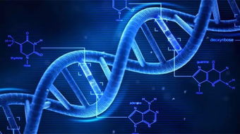 重新编码信息基因
