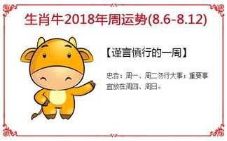 2025年11月12日整体运势速递