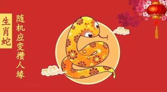 不管啥生肖都绕不开のstone天雷区