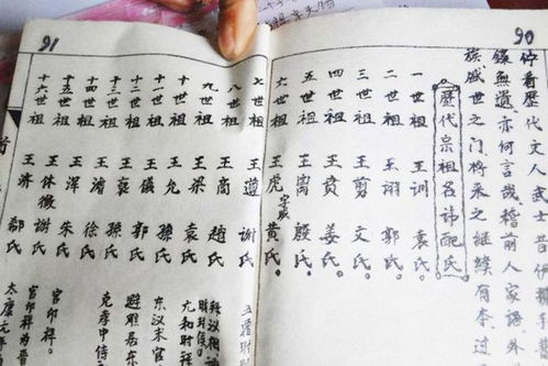 五 、 时尚潮流与传统方式碰撞产生奇葩名称 （此段纯属娱乐活动请勿模仿）