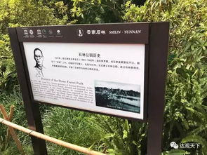 石林门票折扣优惠攻略：省钱玩转天下第一奇观