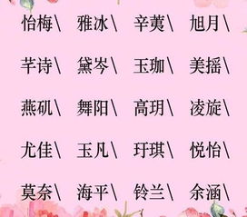 名字的作用于力与文化底蕴传承