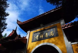 4. 套票坑爹千万别买