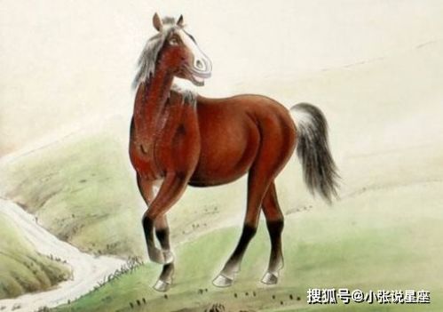 属马的人：开朗却简单失控