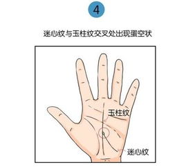 生肖与手纹的对应密码