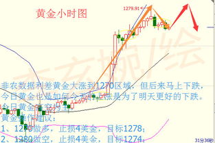 路卫星老师的风水江湖——项城篇