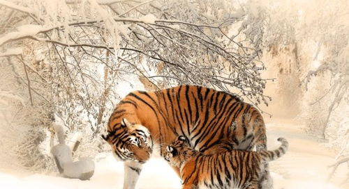 四 、猴宝宝 : 小聪明专家 ( 哈哈 , 这个 名字 是不是 特别 有爱 ?)