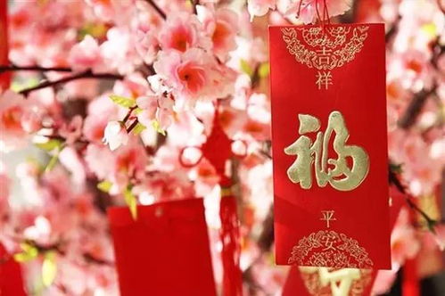 '准备优良'背后真相揭秘