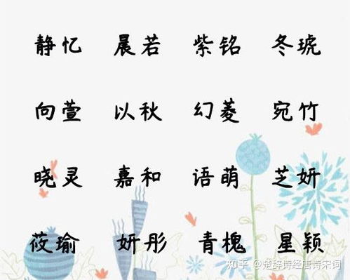 名字里的数字迷思 (笑)