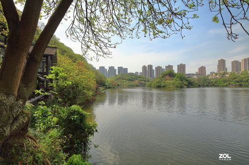 彩云湖湿地公园门票优惠攻略：省钱玩转绝美秘境