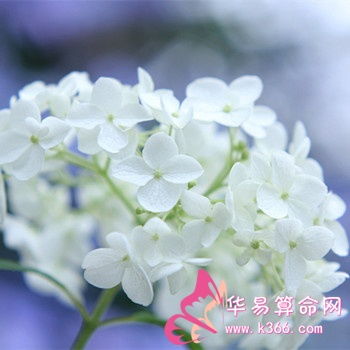 射手男的“吃醋”日常， 别被表面风平浪静骗了