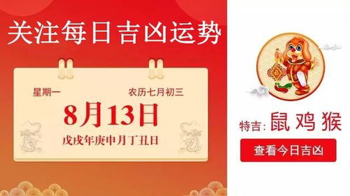 财务视角——稳健为王