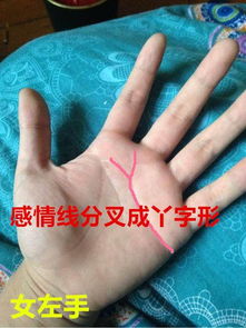 3. 爱线像链条一样连着理智线