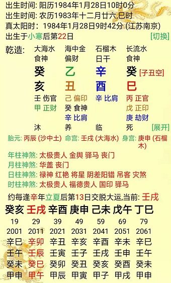 阿尔卑斯式思考：星座与命盘交织
