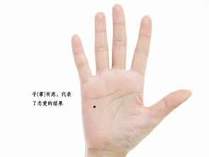 - 较大较小决定风格 -