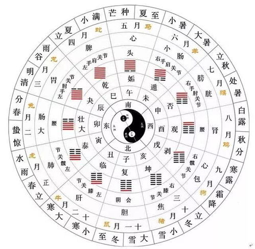 2026年的天气预报——阴晴圆缺都要靠太极平衡