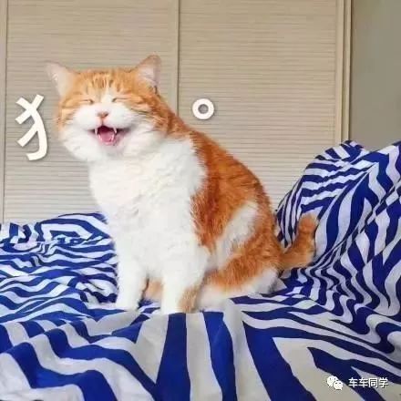 风水较小技巧：让乐观常驻