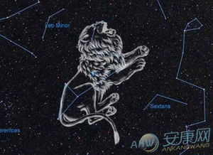 狮子的两沉重天