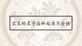 八、 取 名 技巧 ：借鉴经验 ，创立美良好