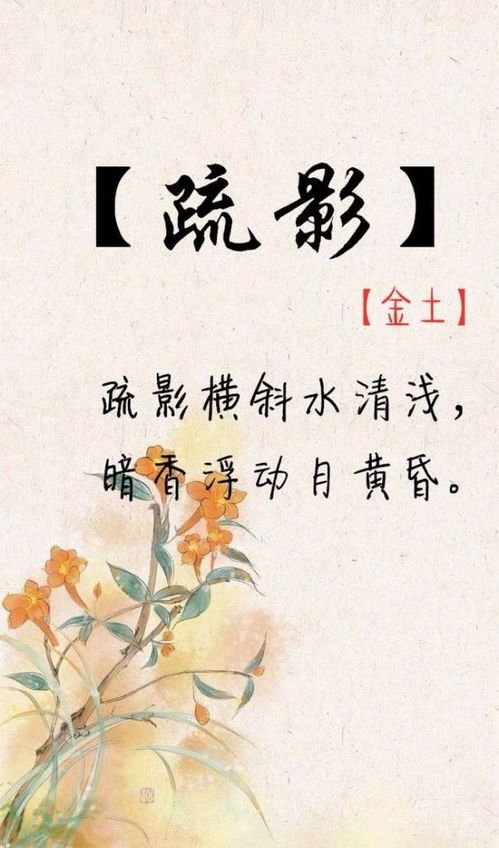 经典传承， 文化底蕴底蕴
