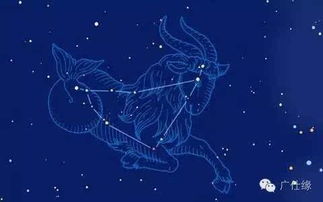 其他星座的职场特性 (简洁概括)