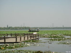 2. 莲花湖的“美景”到底有多“美”？