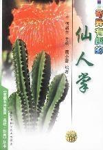 仙人掌的象征意义