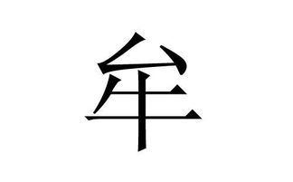 牟姓女孩名字的奇妙世界