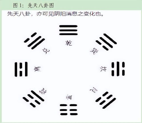 震卦和星座、生肖到底有啥关系？