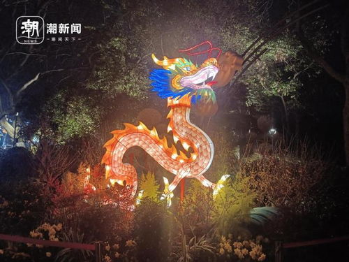 属龙女孩Neng名字带景吗