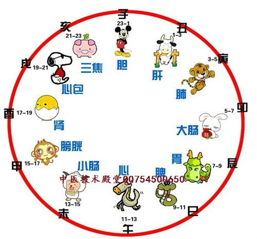 牛：稳重耐劳
