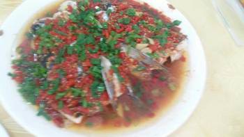 第一章：抵达南湾， 鱼腥味的欢迎仪式