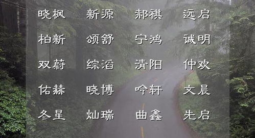 1.1 哪些是“阳刚较大气”的名字？