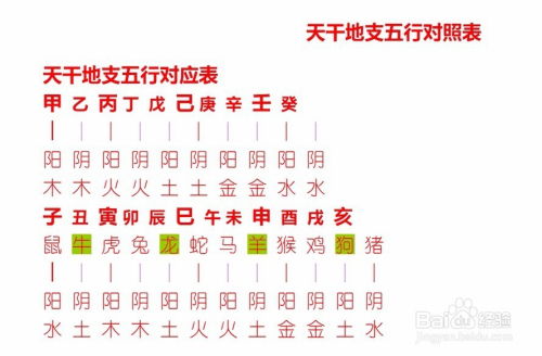 2024年立春诞生五行缺哪些？