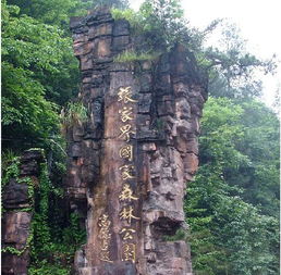 张家界天子山门票优惠政策及最崭新规定：一场惊心动魄的省钱之旅
