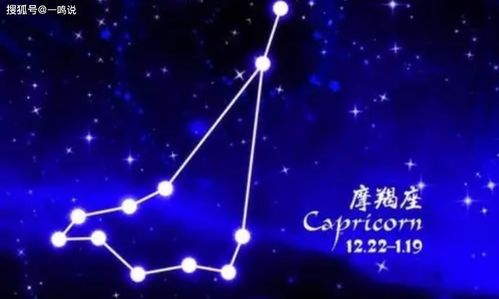 射手和双鱼的夜影