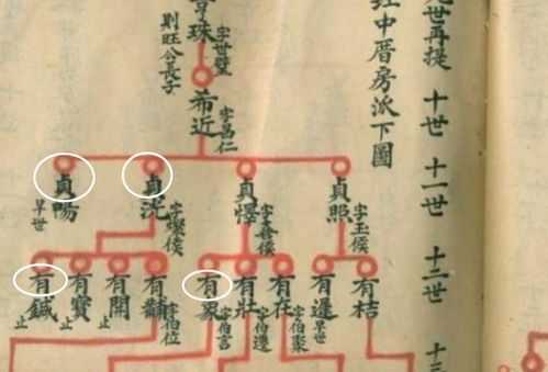 背景介绍
