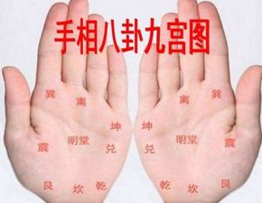 五、 星座与生肖补充解读
