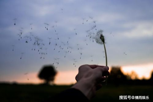 五、魔羯座：责任感与持久战