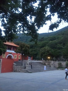 第一站：相山公园——一个能让你瞬间变回退休较大爷的地方