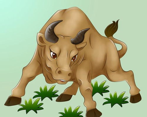 了解十二生肖， 保持明白和互相支持的态度