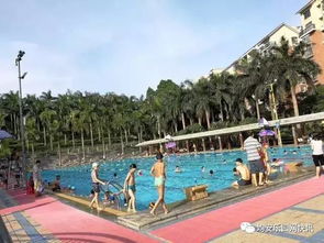 泳场简介：水、水、还是水