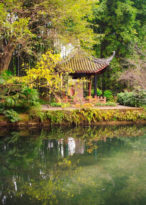 景区体验：花钱买罪受