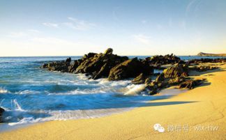 4. 黄牛票的风险因素与刺激