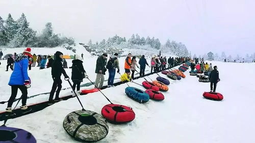 滑雪小贴士——让你的雪场之旅更完美