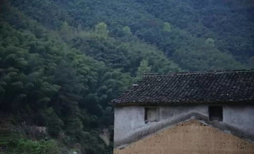 潜在风险因素：别只盯着良好处忽视坑